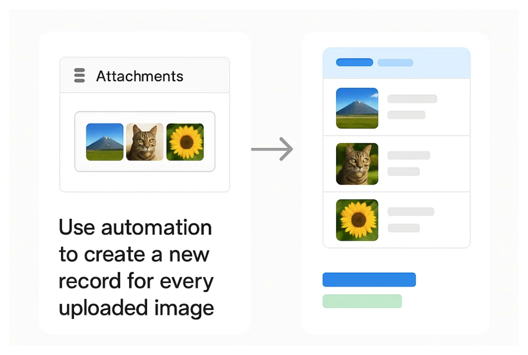 Use Document Generation Tools